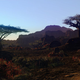 Image for article titled More Final Fantasy XIV Screens Than You Can Shake A Chocobo At